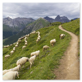 Cucina moderna e luminosa